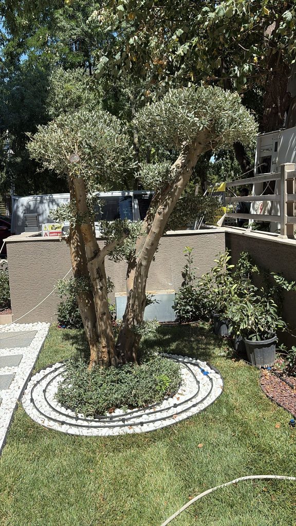 1acf879c-94c1-4783-b2cc-2ead5e79f80d