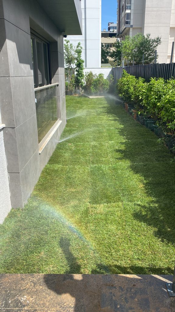 5EBDFC27-455A-4F85-A7EC-6E36DF1A176A