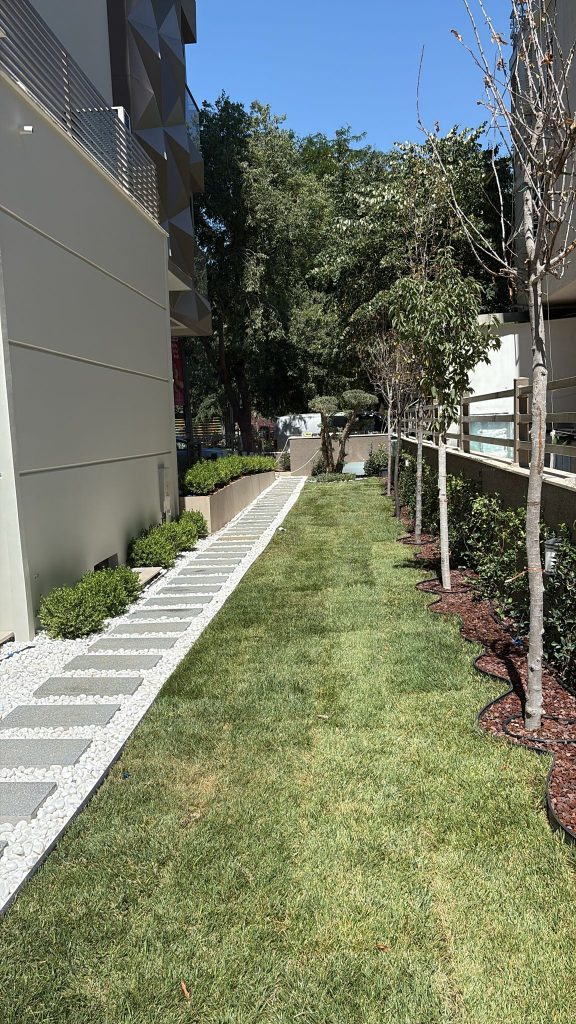 8df9965d-dc87-4c80-9562-dd992fb0b308