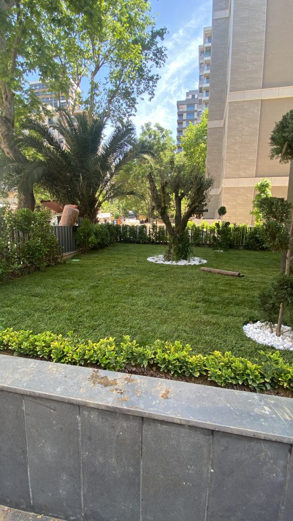 A5A39335-1941-4052-AC45-797E12183F91