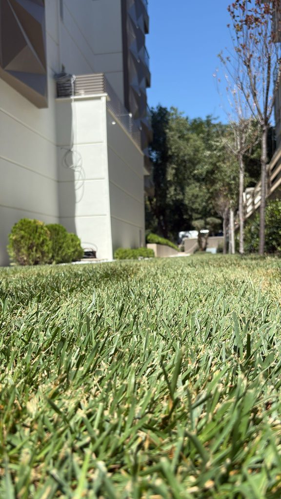 abb8cdf8-b817-4d83-a7c8-b5e3613aaa5e