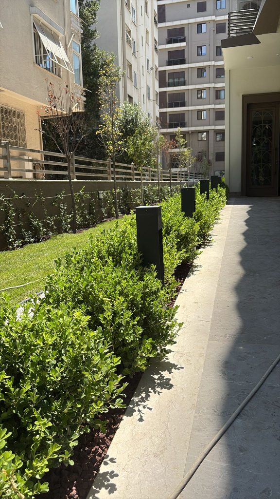 e1e01111-de45-4d8a-9162-674e3f33a48b